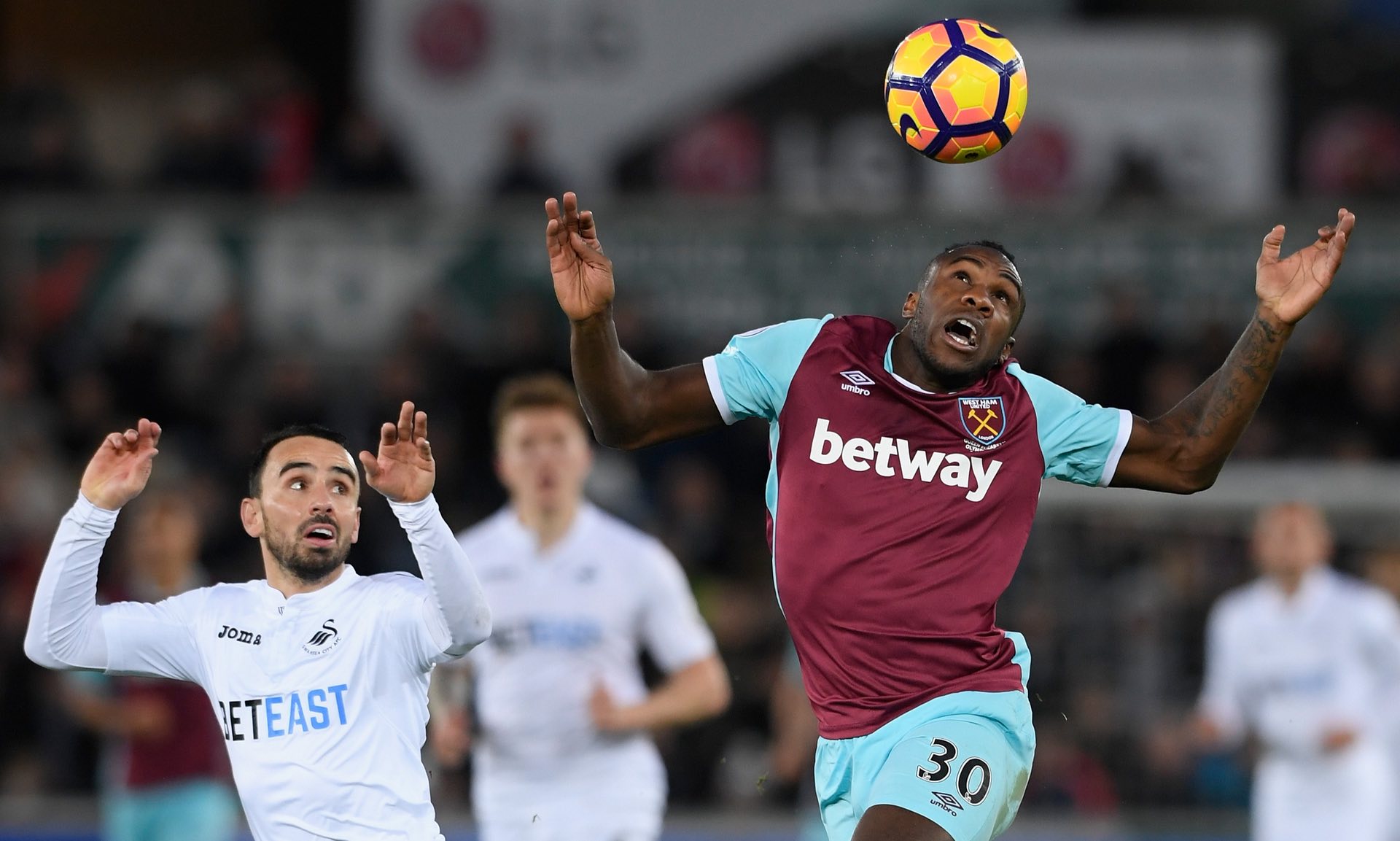 也为他拓宽 也为他拓宽